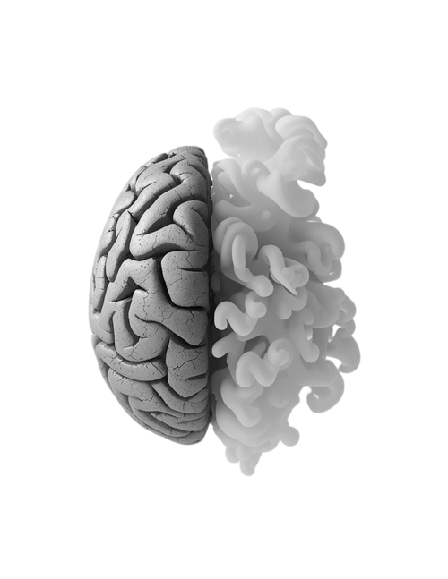30-Day Plan — Free Guide | Digital Download | thebrainbase76