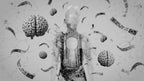 The Mind Trap Files (1): The 30-Day Cognitive Debug Protocol